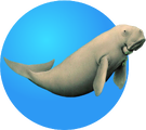 Logo BDE Dugong